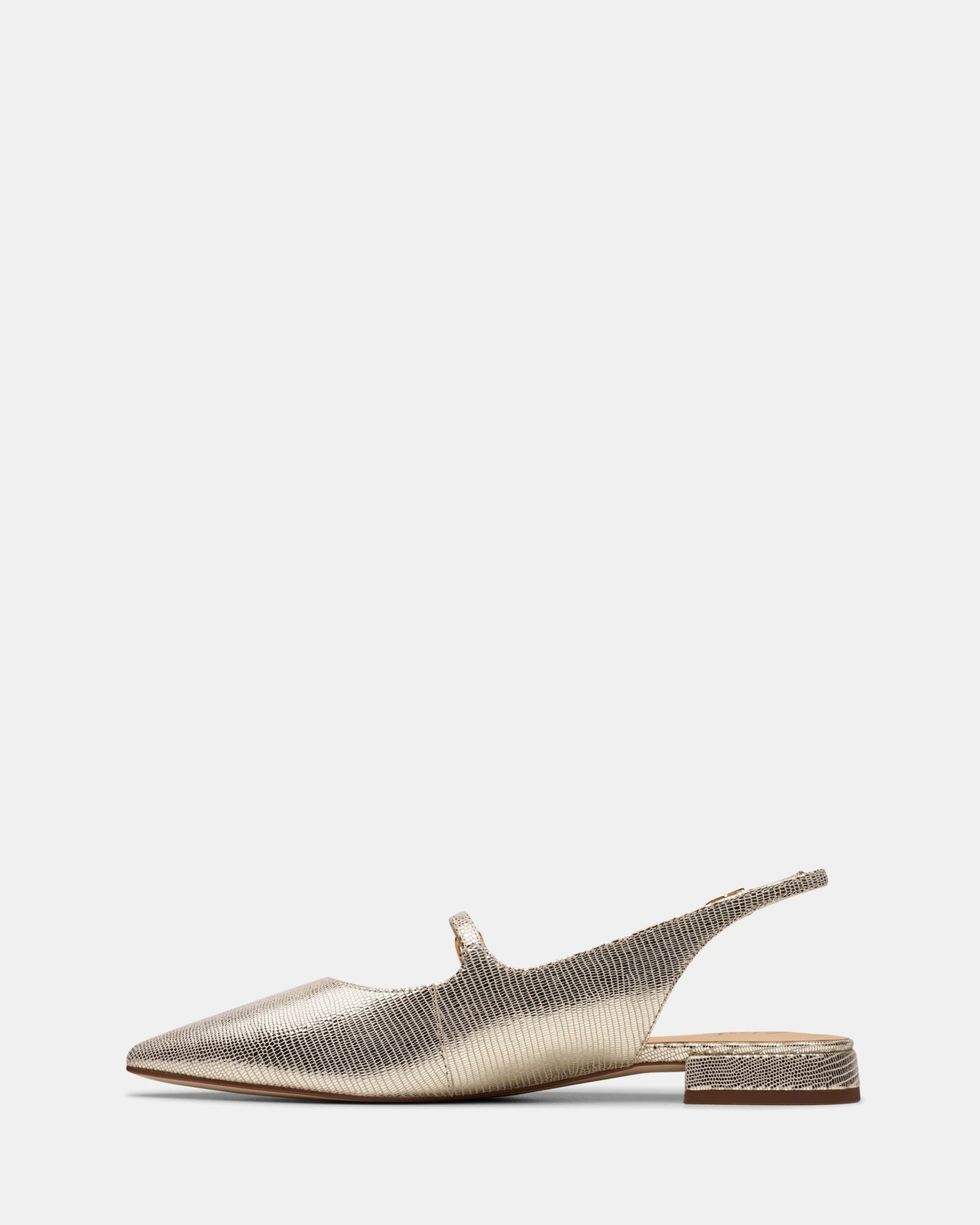 Sensa15 Shine Champagne Int