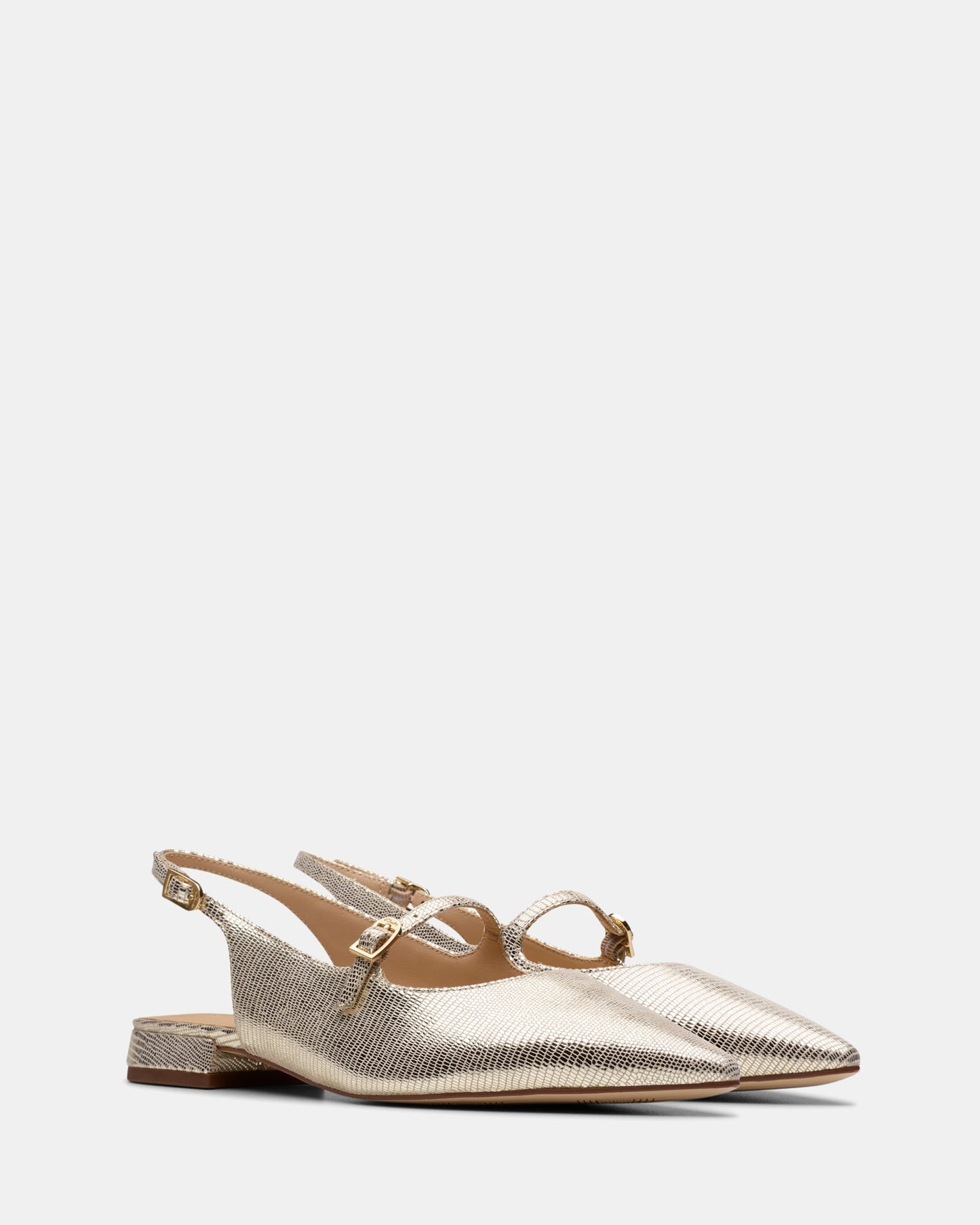 Sensa15 Shine Champagne Int