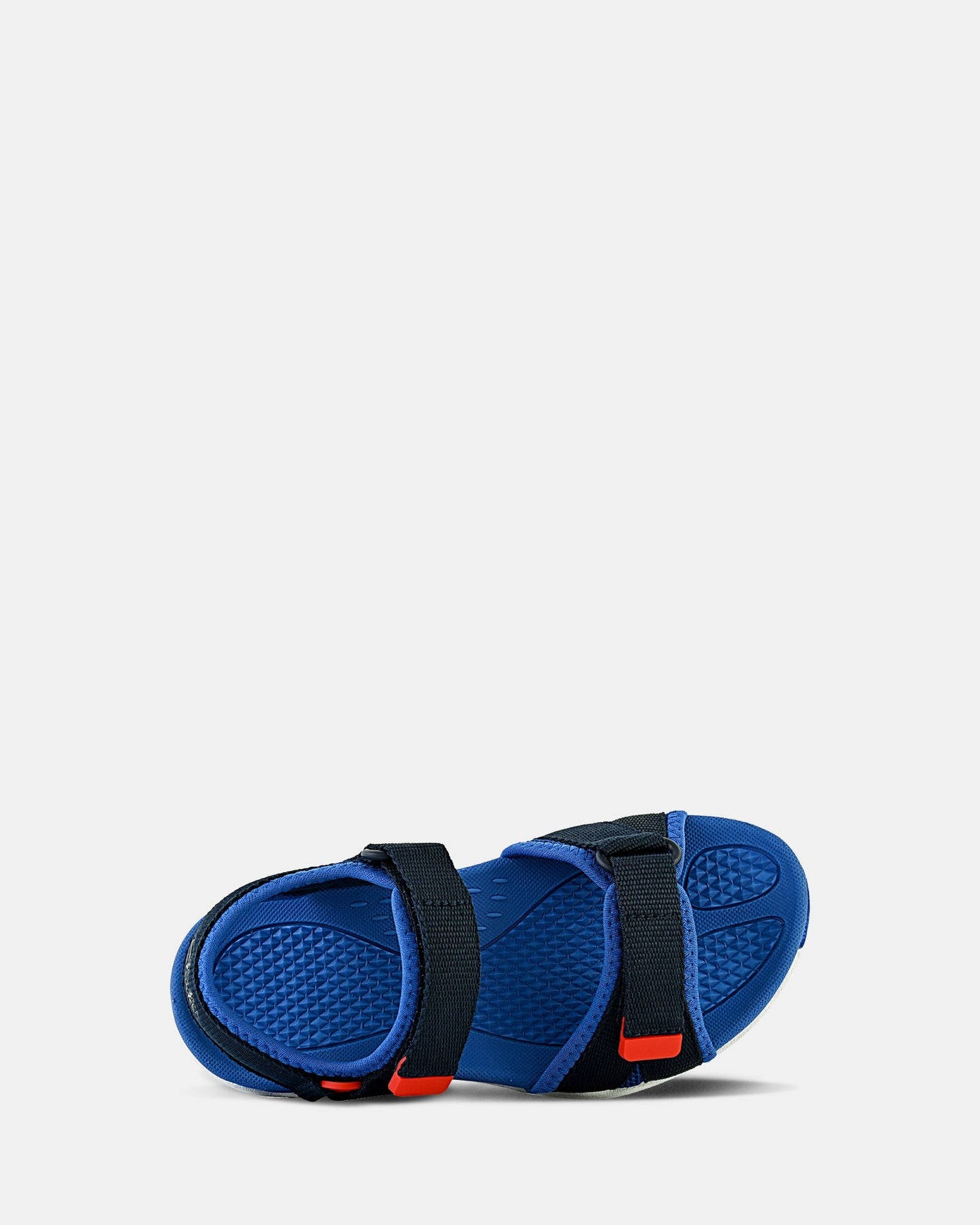 Theo Navy/Red