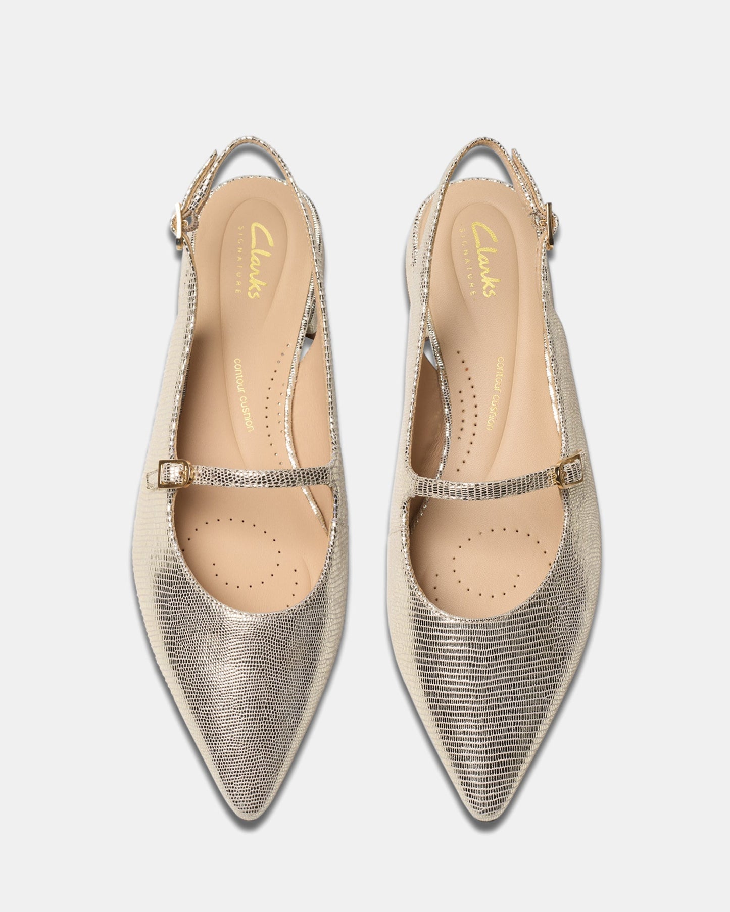 Sensa15 Shine Champagne Int