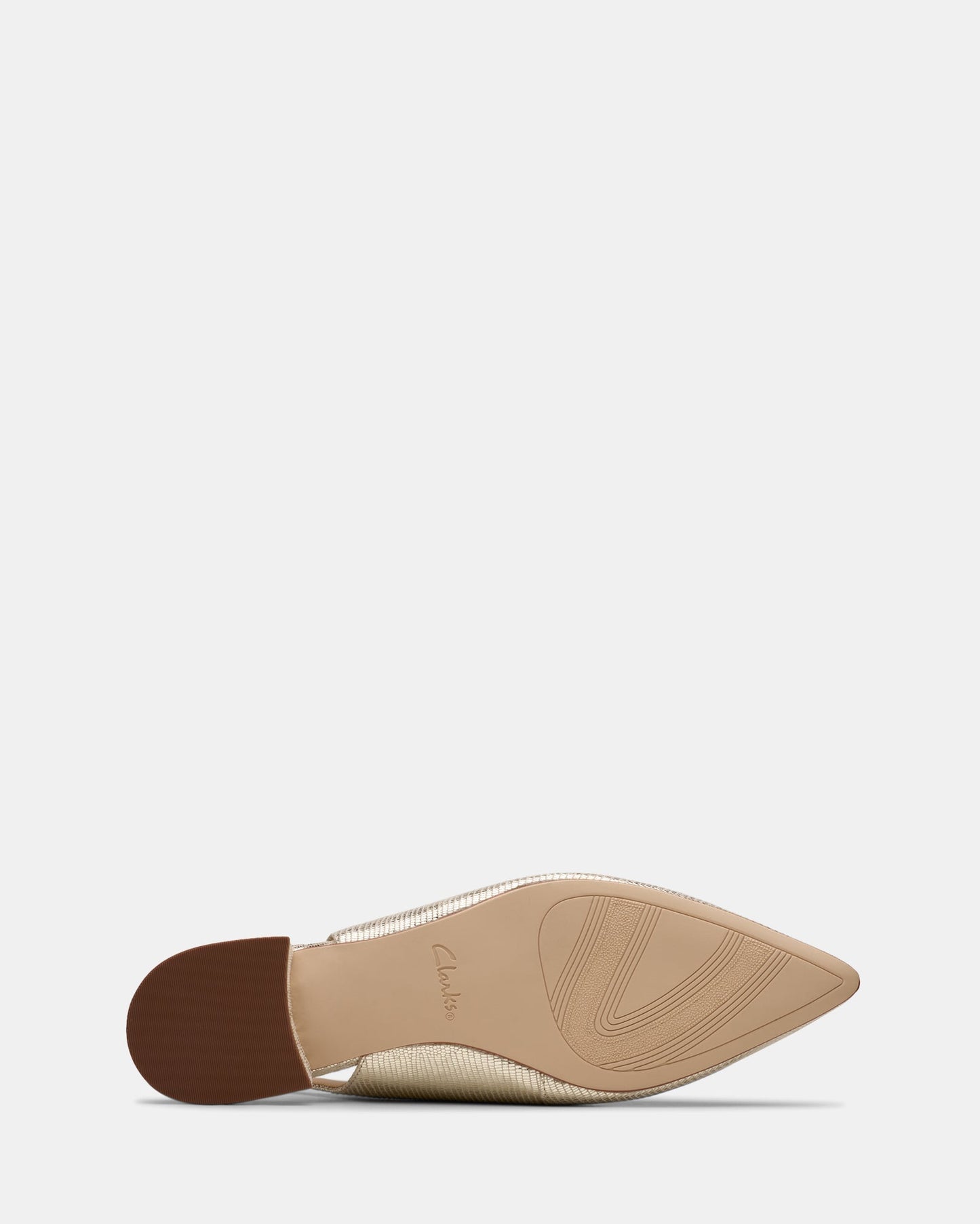 Sensa15 Shine Champagne Int